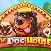 The Dog House